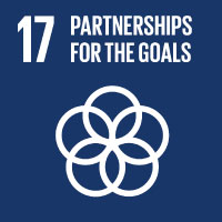SDG 17