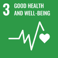 SDG 3